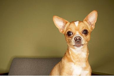 《命运2》下个扩展包“光陨”将于8月23日正式亮相